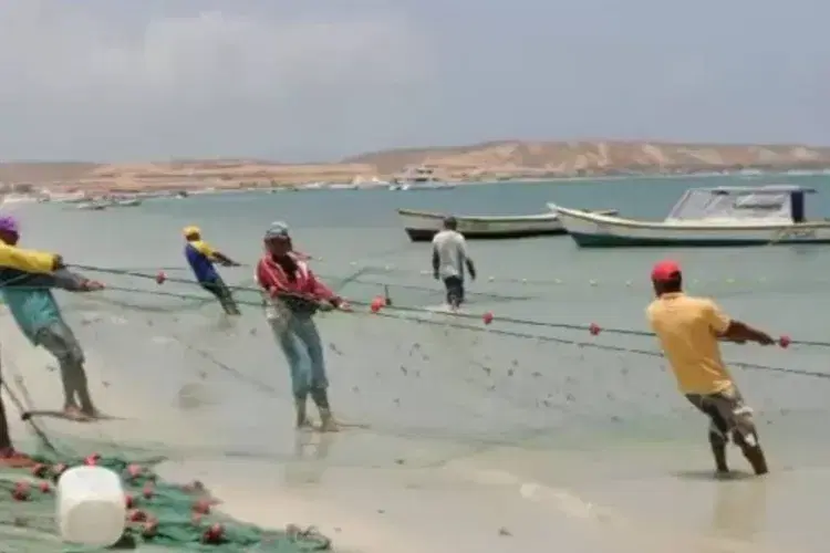 Pesca responsable en Isla de Coche